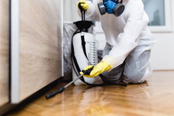 Best Best Pest Control Companies  in Auburn, WA