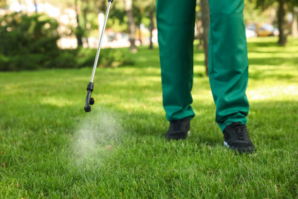 Best Rat Extermination Near Me  in Auburn, WA