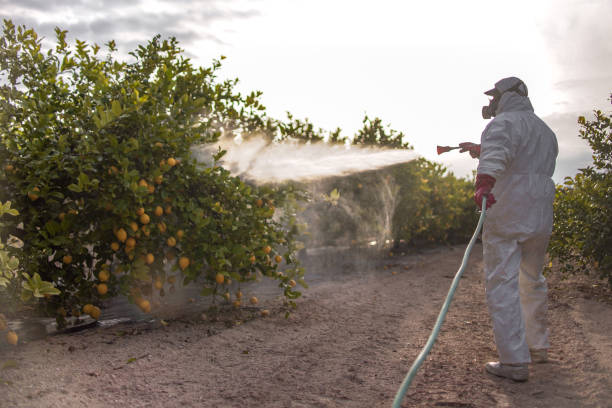 Best Pest Control Near Me  in Auburn, WA
