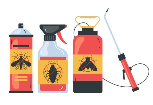 Best Wasp Removal Services  in Auburn, WA