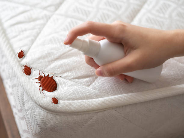 Auburn, WA Pest Control Company