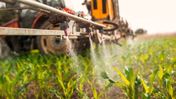 Best Commercial Pest Control Services  in Auburn, WA